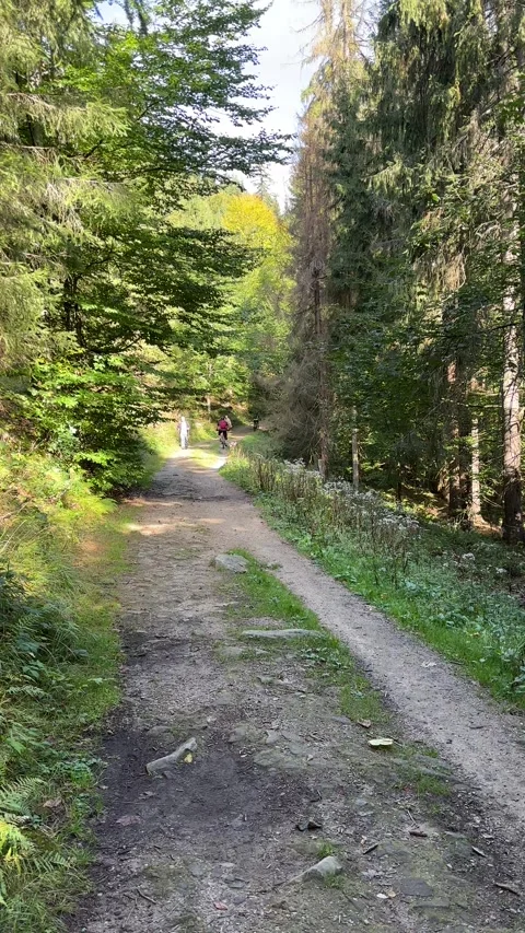Cyclist riding along a forest trail in the Beskids. Stock Footage 346730192