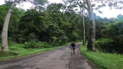 Cyclist Riding Bicycle on Forest Road Surrounded by Lush Greenery, Indonesia. Видео 345154837