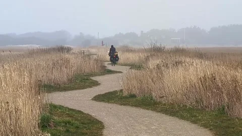 Cyclist riding bicycle on winding path in foggy weather Video stock 339435157