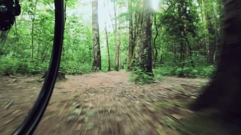 Cyclist Riding on a Forest Trail low POV Stock Footage 278528006