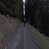 Cyclist Riding A Mountain Bike Along The Forest Road Stock Footage