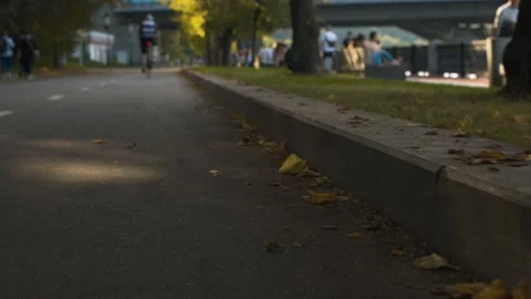 Cyclist riding the path in the park Stock Footage 140424780