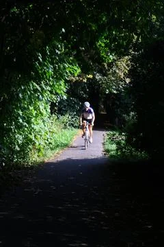 Cyclist riding through a forest path illuminated by sunlight Stock Photos