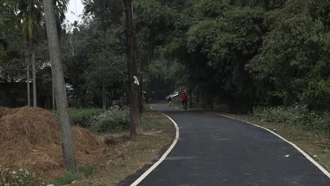 Cyclist riding on tree-lined rural road in village area Stock Footage 326031844