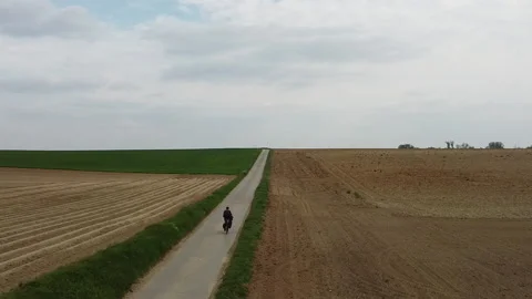 Cyclist on the road among farming fields. Stock Footage 194949656