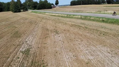A cyclist on the road among wheat fields Stock Footage 114383070
