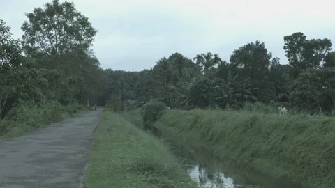 Cyclist on road Video stock 200997061