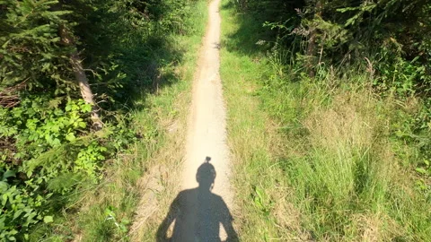 Cyclist shadow with action camera on single trail road in the forest Stock Footage 137113885
