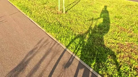 Cyclist shadow on park path in evening sunlight Video stock 316036870