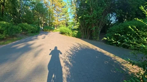 Cyclist shadow riding along tree lined park path in sunlight Stock Footage 340360509