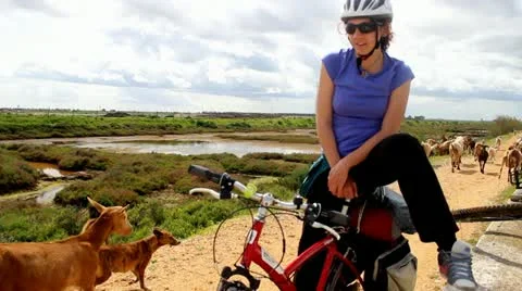 Cyclist surrounded with goats/animals Stock Footage 22334944