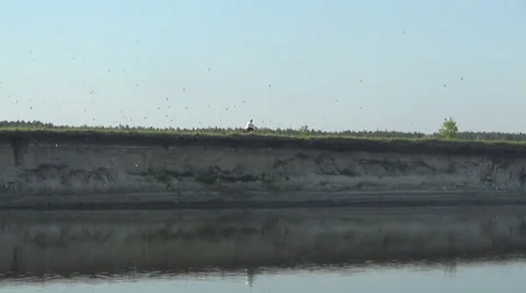 Cyclist, swifts 스톡 동영상 50407393