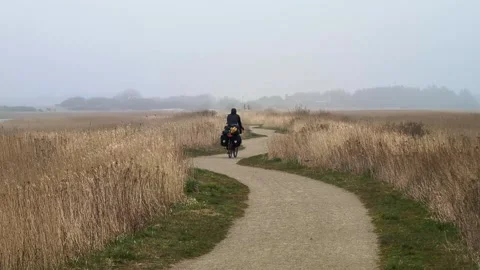 Cyclist touring on a winding path through a foggy marshland in Denmark Video stock 339435259