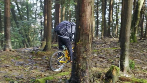 Cyclist trail biking in the forest Stock Footage 251397604