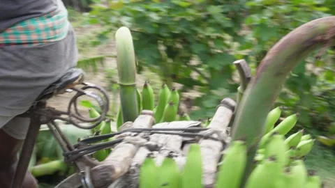 Cyclist Transporting Bananas 库存影片 336687052