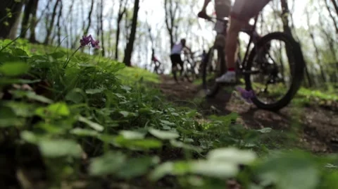 Cyclist Uphill in Wood Stock Footage 63033332