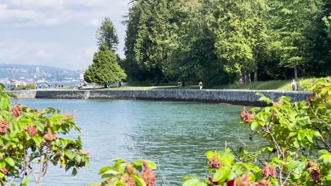 Cyclists and pedestrians enjoy Stanley Park seawall walkway beside calm water Stock Footage 323132653