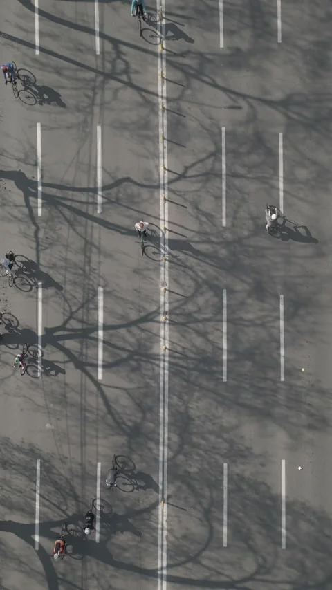 Cyclists and Tree Shadows Contrast Against the Road - Flat Vertical HD Aerial Stock Footage 309331356