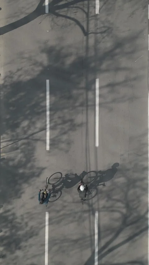 Cyclists and Trees Cast Shadows Against Road - Flat Aerial Vertical HD Stock Footage 309331358