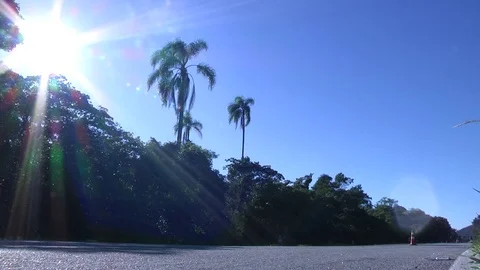 Cyclists crossing the camera in road competition, low angle shot camera Stock Footage 70062968