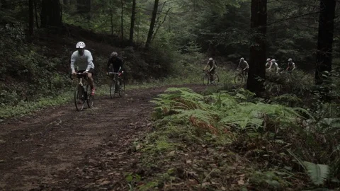 Cyclists on a dirt path in front of a forest Video stock 91277207
