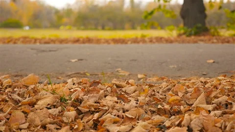 Cyclists drive past. Slow motion. Close-up Stock Footage 102268305