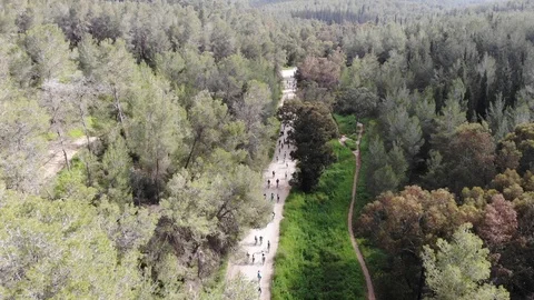 Cyclists in the forest Stock Footage 124402446