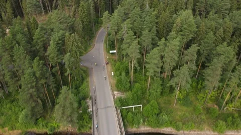Cyclists on a forest road 動画素材 157891308