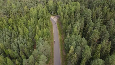 Cyclists on a forest road 動画素材 157892185