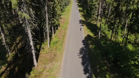 Cyclists on a forest road 動画素材 157893097