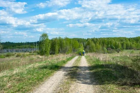 Cyclists on a forest road. Stock Photos