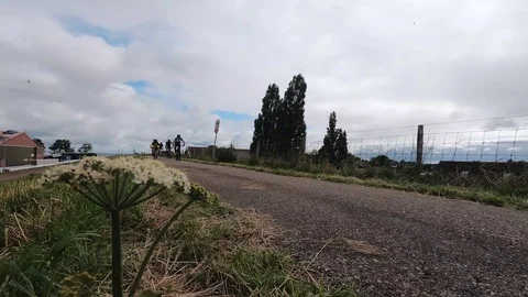Cyclists in the Netherlands Видео 116079316