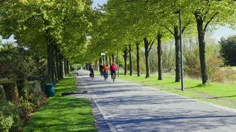 Cyclists in the Nordsternpark Video stock 226247611