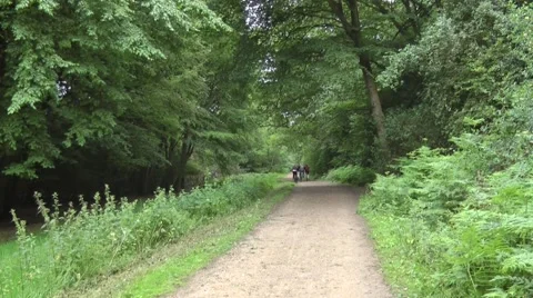 Cyclists on path in Epping Forest Stock Footage 41421420