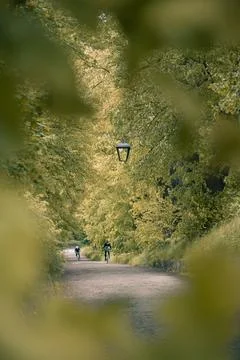 Cyclists on a Path Lined with Trees and Lamps Stock Photos