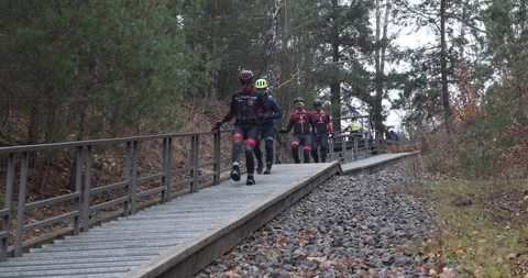 Cyclists in race gear run down metal forest walkway on autumn day Stock Footage 321048386