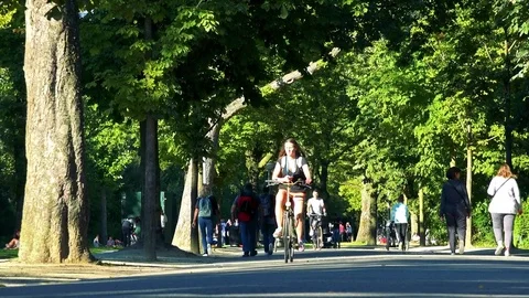 Cyclists ride down a path at a park on a sunny day, two of them (a man and a Stock Footage 73961985
