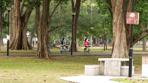 Cyclists Riding Along a Path in a Lush Singapore Park Vídeos de archivo 329010665