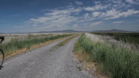 Cyclists riding bicycle on road Stock Footage 49099937