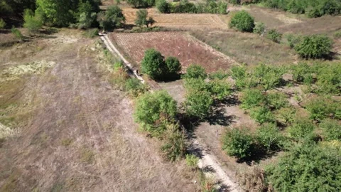 Cyclists riding bicycles on a road. Drone Video Stock Footage 194020331