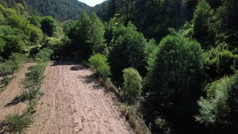 Cyclists riding bicycles on a road. Drone HD Video Stock Footage 194020656