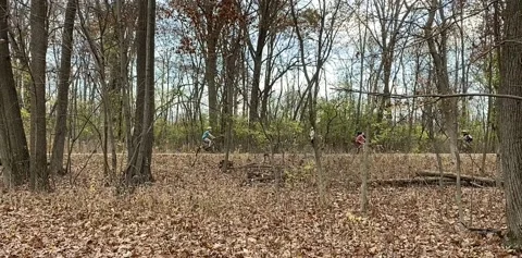 Cyclists riding on Cook County Forest Preserve trails on warm autumn day Stock Footage 142771996