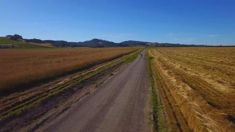Cyclists riding cycle on the road besides the field Video stock 87809836