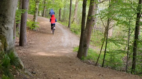 Cyclists Riding Forest Trails in Spring Nature Stock Footage 336734295