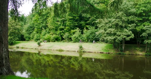 Cyclists Riding on Lush Green Path Along Calm River in Summer Forest Stockbeeldmateriaal 330112427