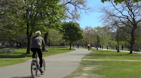 Cyclists riding in the Park. 4K UHD. 動画素材 50591057