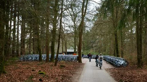 Cyclists Riding Through Forest Path Surrounded by Rows of Parked Bicycles i.. Foto stock