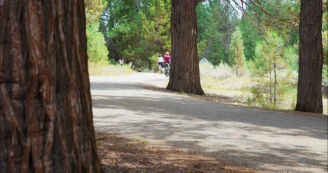 Cyclists Riding Through a Forested Pathway 스톡 동영상 323364556