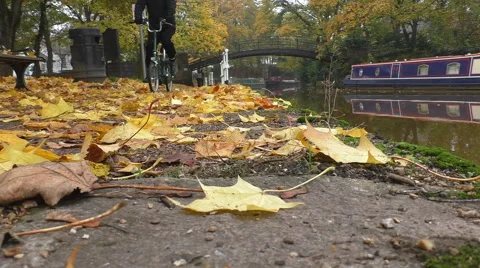 Cyclists on river side in autumn park Vídeos de archivo 56790751