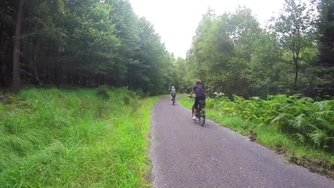 Cyclists on road Stock Footage 87328102